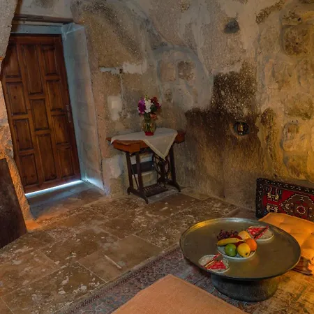Hotel Theodora *