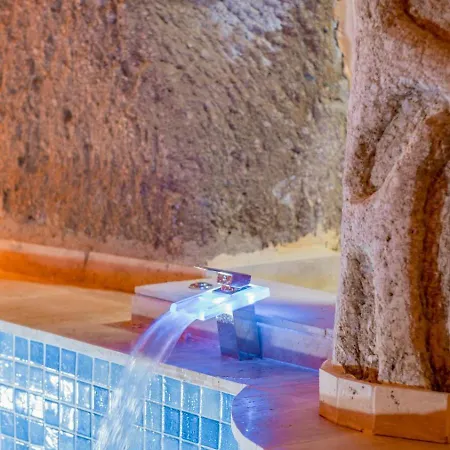 Hotel Theodora *