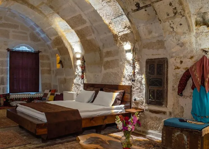 Отель Theodora *