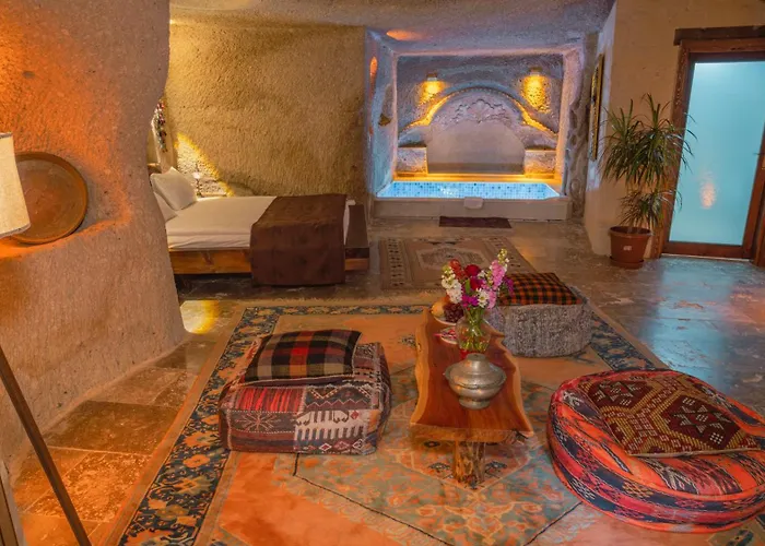 Отель Theodora *