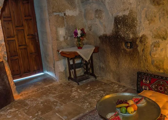 Отель Theodora *