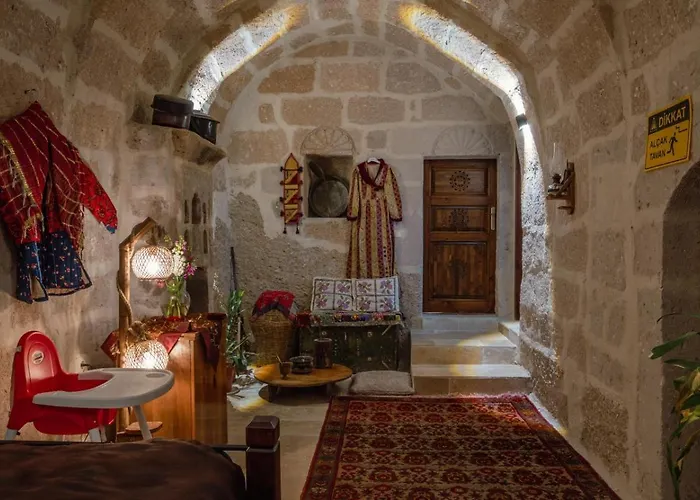 Отель Theodora *